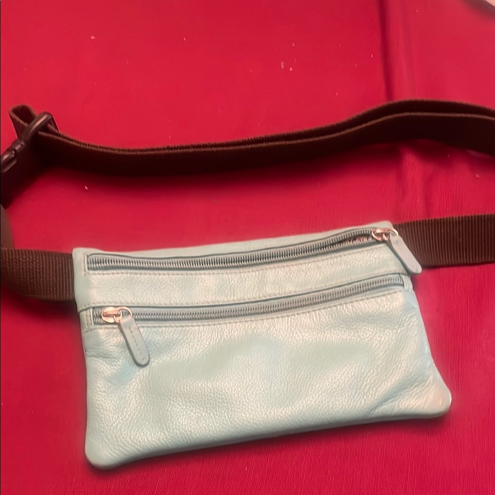 Turquoise Leather Waist band Bag